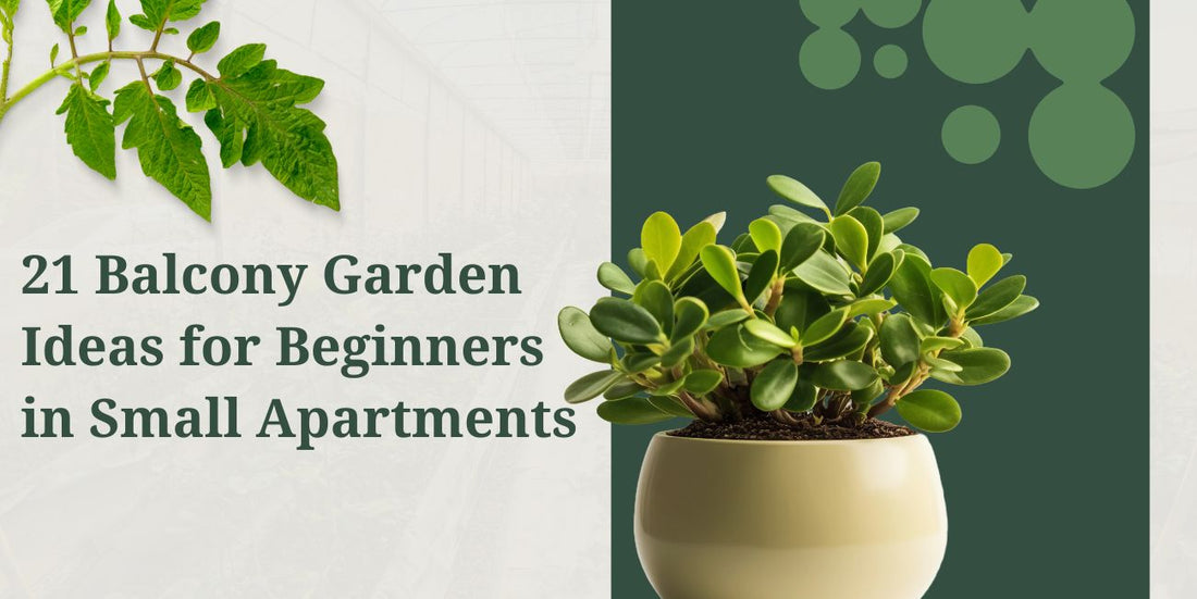 21 Easy Balcony Garden Ideas for Beginners in Small Apartments