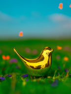 Gold Humming Bird